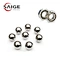 Steel Ball